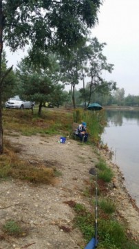 Zdjęcie - 